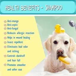 hachiko Dog Need Dog 5IN1 Shampoo Conditioner (250 ml) Anti-Bacterial Allergy Relief, Anti-dandruff, Anti-fungal, Anti-microbial Artificial Fragrance Free Dog Shampoo image 4