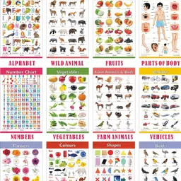 vcp Early Learning Educational Charts Set for Kids | Set of 6 Charts ( Printed on Both Sides ) | 31 x 45 cm | Non-Tearable and Waterproof | Perfect for Homeschooling, Kindergarten and Nursery Students | Alphabet, Numbers, Birds, Animals, Fruits, Vegetables, Shapes, Colours, Parts of Body, Vehicles, Domestic Animals & Flowers Chart Photographic Paper-picture-19