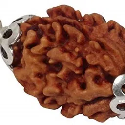 beautum Original 3 Mukhi Rudraksha Three Face Rudraksha Metal Capped Wood Pendant image 3