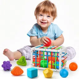 himanshu tex Shape Sorter Baby Blocks Colorful Textured Balls Sorting Games-picture-14