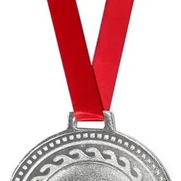 fitdex Medals for School Competition Sports Event 2 inch 8-Gold 8-Bronze 8-Silver Medal image 3