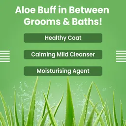 bark out loud Dog Waterless Shampoo (1 N x 100ml) Anti-itching Fresh Dog Shampoo image 5