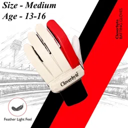 cloverbyte Cricket Batting Gloves Idol For Youth Age 13-16 Years Suitable for Intermediate Batting Gloves-picture-22