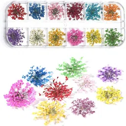 she pro 12 Patterns 3D Dry Flowers Stickers Real Dried Flower Nail Art Decoration-picture-13