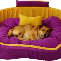 havensdraem Dog Bed, Sofas Bed & Chairs Bed Coller With Haddi XL Pet Bed-picture-35