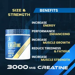 quenchlabz Micronised Creatine Monohydrate | Lab Tested | Enhanced Absorption | 100% Pure Creatine image 2