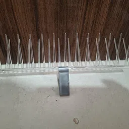 apav Bird Spike-picture-28