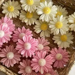 amc Set of 06 Daisy Handmade Soy Wax Candle image 3