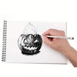 art ranger Art Black Charcoal Pencils with Paper Stumps/Art Blender Graphite Pencils Pencil image 2