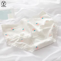 zenvio Women Hipster Multicolor Panty image 4