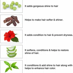 prem dulhan Henna Based Hair Color 10G (Pack Of 10) image 2