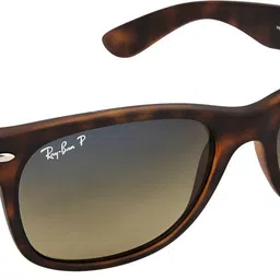 ray-ban Polarized, Gradient Wayfarer Sunglasses (Free Size)-picture-23
