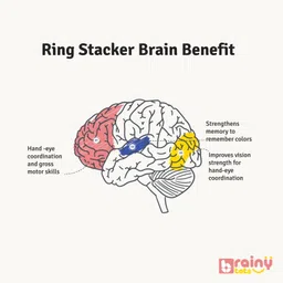 brainytots Wooden Ring Stacker | Fine Motor Skills & Problem Solving image 3