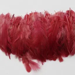 handymandy store 100 Brown Feathers image 1