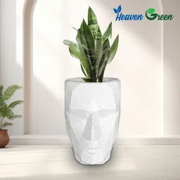 blooming enterprises Modern Iron Man Design Plastic Pot 12inch (White, Pack of 1) Plant Container Set image 2