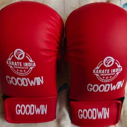 goodwin Karate Equipment Martial Art Gloves image 3