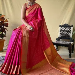 divastri Woven Handloom Nylon Saree image 2