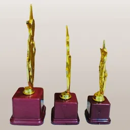 afiya international Multi Stars Combo Trophies for Winners /Events Awards Teachers Students Offices Trophy image 3