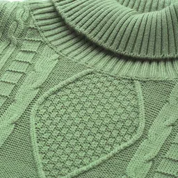 mast & harbour Men Self Design Turtle Neck Green Sweater image 2