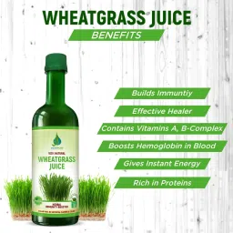 VEDAPURE Pure & Natural Wheatgrass Juice For Immunity and skin, Ayurvedic Juice for Detoxification, No Added Sugar & Flavours 500 ML (PACK OF 1) image 5