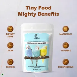 treat for loyalty Bird Food for Budgies & Finches 1 Kg. | Premium Seed Blend of Grains 1 kg Dry Adult, Young Bird Food image 5