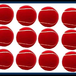 jai shri New-New-Tennis _238Pack of 6 Tennis Ball-picture-13