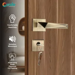 curate Stainless Steel Glossy Smart Lock-picture-43