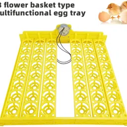 tm&w Mini 48 Eggs Tray Automatic Egg Turning for Poultry Chicken Duck Eggs Egg Incubator-picture-20
