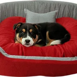 havens dream Dog Bed, Sofas Bed & Chairs Bed With Haddi M Pet Bed-picture-16