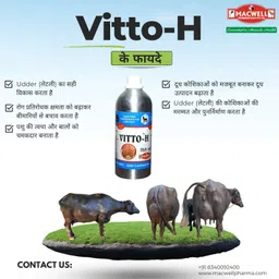 macwell VITTO-H Pet Health Supplements image 2
