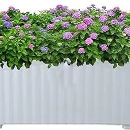 nature teck Garden Gnome image 3