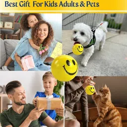 asantique Stress Reliver Smiley Ball Pickleball Ball image 4