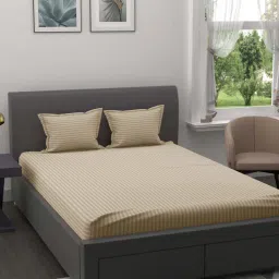 jaipur fabric Cream Striped 150 TC Cotton Queen Sized Bed Sheets with 2 Pillow Covers-picture-18