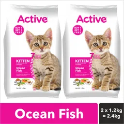 active (Buy 1 Get 1 Free) Kitten Ocean Fish 2.4 Kg Dry Young Cat Food image 2