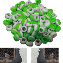 s.blaze Multicolor Sound Plastic Foot Ring Green+White 40 Pcs Bird Shoulder Guard-picture-16