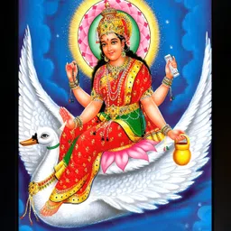 crowdhall Brahmani Mata Photo Frame | Brahmani Mata ( 10 inch x 13.5 inch ) Religious Frame-picture-13