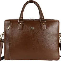 hammonds flycatcher Men Brown Messenger Bag image 2