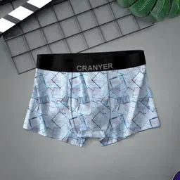 cranyer Pack of 4 Printed Men Brief image 4