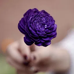 artecasa Sola Purple Set of 6 Natural Dried Flowers image 4