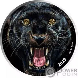 vkcoins Cameroon 1000 Francs CFA 2019 Black panther Beautiful Coloured With Capsule Modern Coin Collection-picture-15