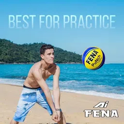 fena Punch Volleyball - Size: 4-picture-14