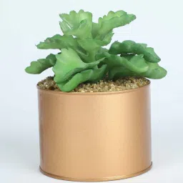 casacraft from pepperfry Polyester Hide Green Elegant Succulent With Metal Pot Artificial Plants image 2