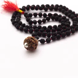 sarvaksh 5 Face Black Rudraksha Mala With 5 Mukhi Nepali Pendant Silver Plated Silver Chain image 4