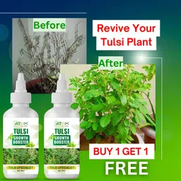atom agrotech Tulsi Plant Boost Liquid Biofertilizer 2Pc for all type of Tulsi Plants Organic Fertilizer-picture-28