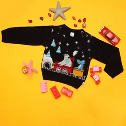 V-Mart Infants Graphic Self Design Acrylic Pullover Sweater image 1