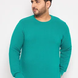 Club York Plus Size Self Design Ribbed Cotton Pullover Sweaters-image-76