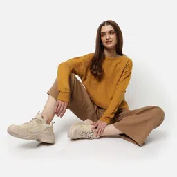 Campus Sutra Self Design Cable Knit Woollen Pullover image 4