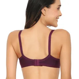 Aimly Pack of 2 Medium Coverage All Day Comfort Cotton T-shirt Bra image 3