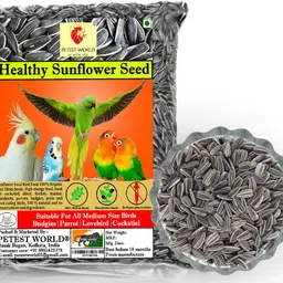 petest world WORLD SUNFLOWER SEED 0.45 kg Dry Adult, Young, Senior Bird Food-picture-28