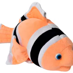 shapze Clowney Fish Dory- 22 cm-picture-45